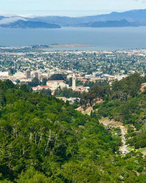 Ocean View and Fourth Street House | Garden Home