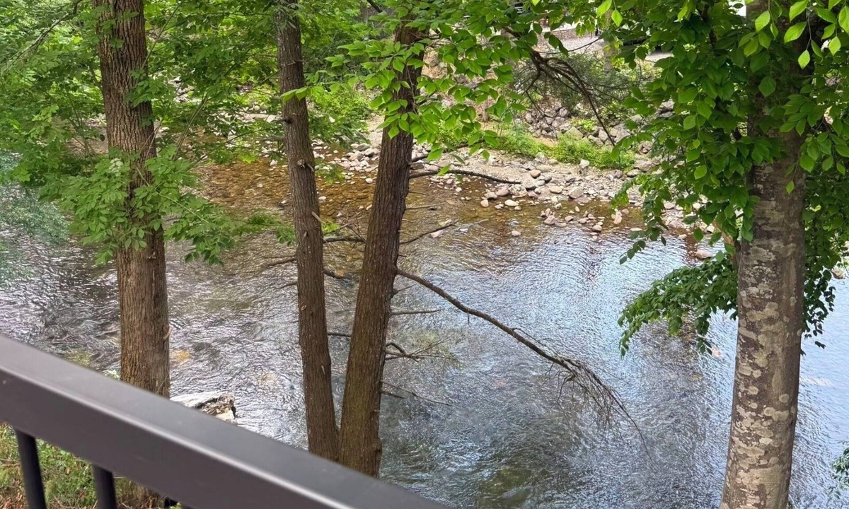 Townsend Cabin | Riverfront | Dog Friendly | Close to GSMNP