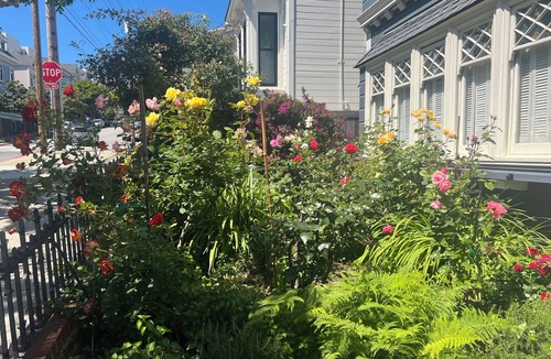 Pacific Heights House | Pacific Heights Private Safe Second Floor Sunroom Gem with bathroom