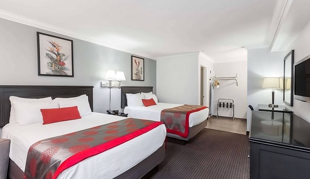 3 Comfortable Space Minutes from Top Attractions!