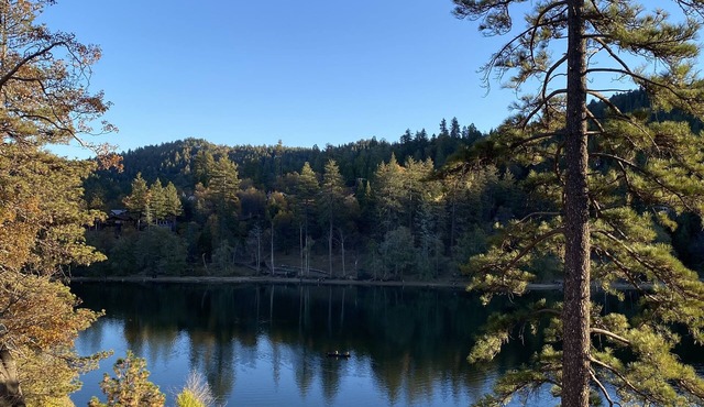 Cozy Mountain Cabin Escape, 7 min to Lake Gregory