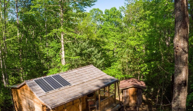 Off-Grid Cabin-Appalachia Glamping-30 Min to AVL-4WD Needed - NO Cleaning Fee!