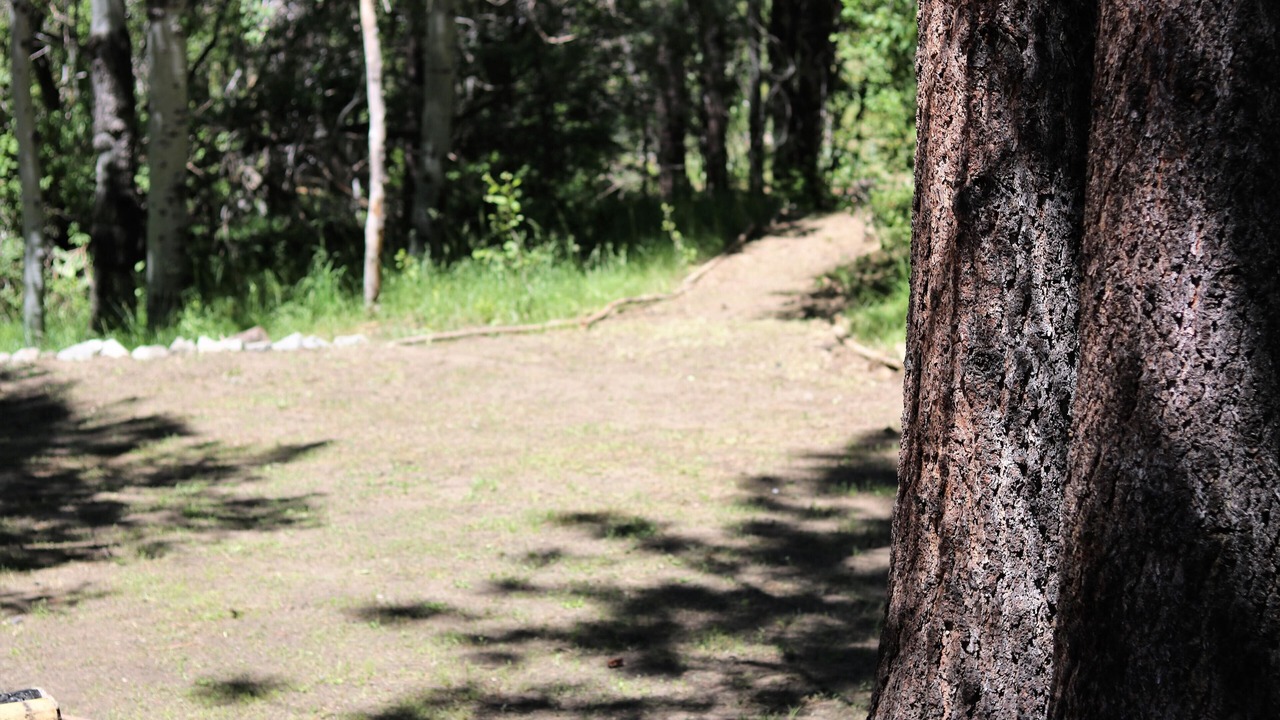Photo of Outdoor in Pioneer Trail