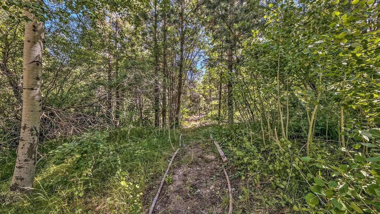 Photo of Outdoor in Pioneer Trail