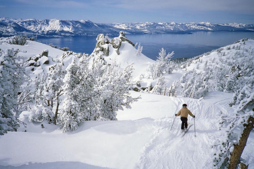 Photo of Others in Tahoe Paradise