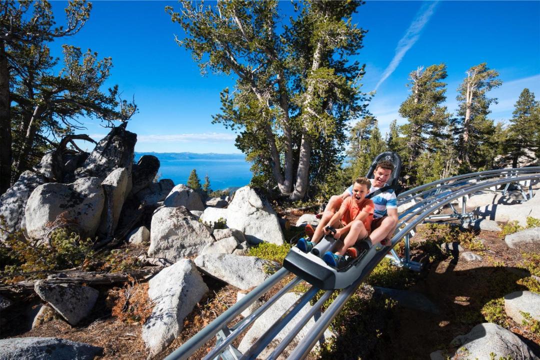 Photo of Others in Tahoe Paradise