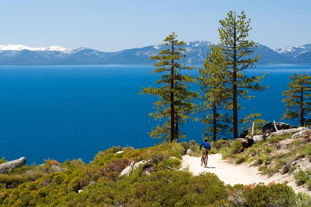 Photo of Others in South Lake Tahoe