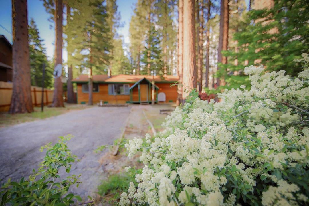 Photo of Others in North Upper Truckee