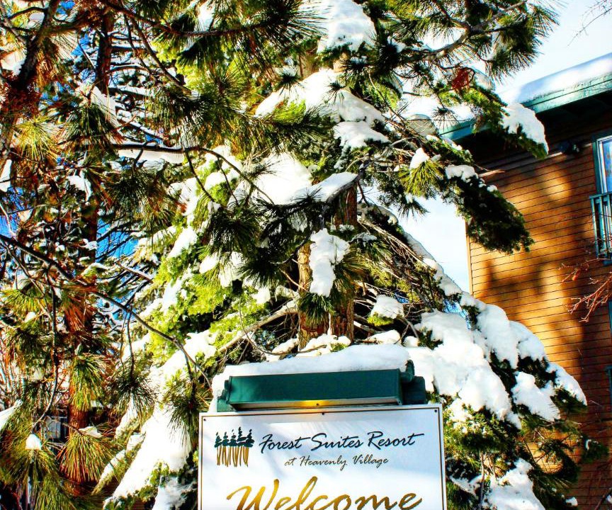 Photo of Others in South Lake Tahoe